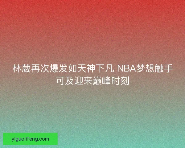 林葳再次爆发如天神下凡 NBA梦想触手可及迎来巅峰时刻 林葳再次爆发如天神下凡 NBA梦想触手可及迎来巅峰时刻