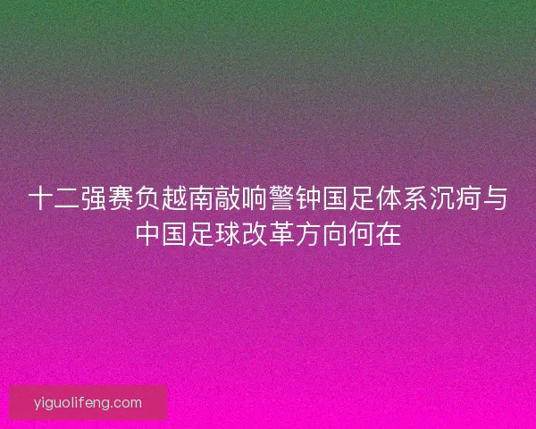 十二强赛负越南敲响警钟国足体系沉疴与中国足球改革方向何在